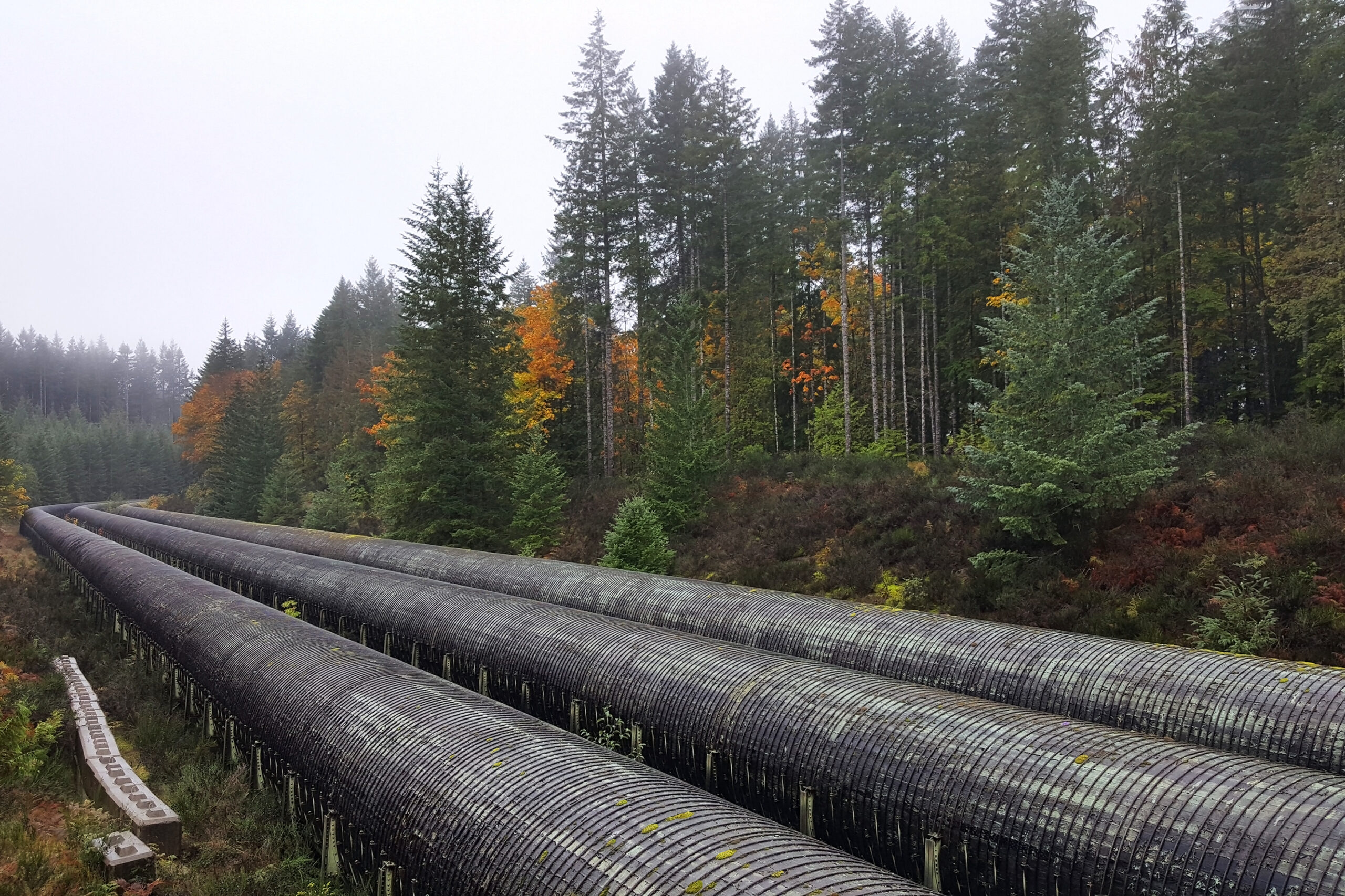 Three quarters of Canadians support or somewhat support building a pipeline from Alberta to Eastern Canada. (CTV News/Nanos)