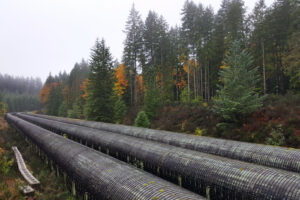 Canada’s Energy Corridor: Strong Support Persists Despite Political and Environmental Hurdles. (CTV News/Nanos)