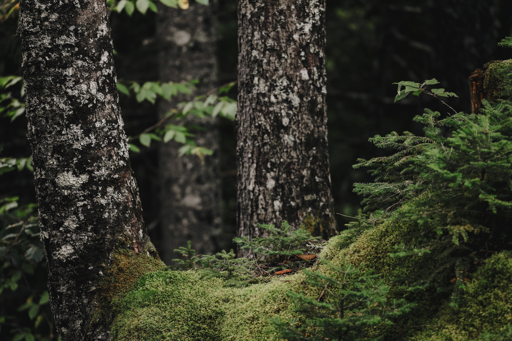 Canadians most likely to rank energy as sector with greatest potential to expand exports to non-US destinations; want to see Canada prioritize energy exports to Europe and Asia. (Positive Energy-University of Ottawa/Nanos)