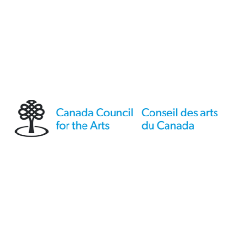 Design development and administration of online surveys, descriptive analysis, qualitative data analysis, data visualization, reporting and presentation services